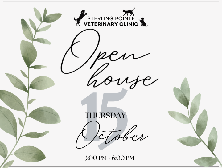 You’re Invited to Our Open House!