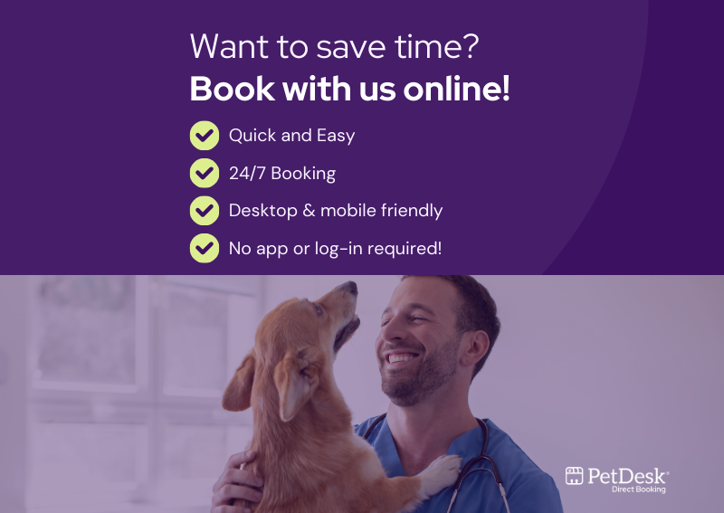 Carousel Slide 2: Book Online Today!