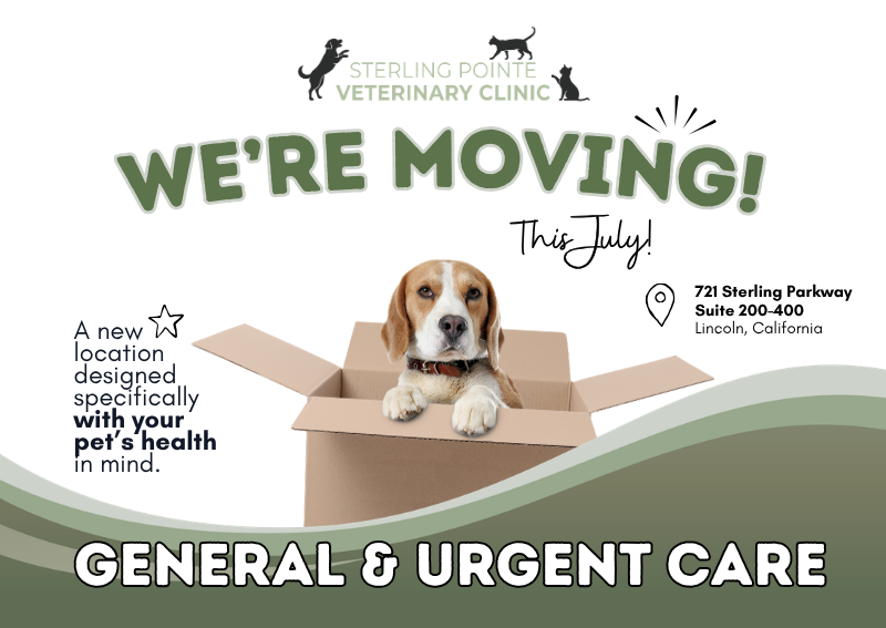 Carousel Slide 1: Learn more about our move!