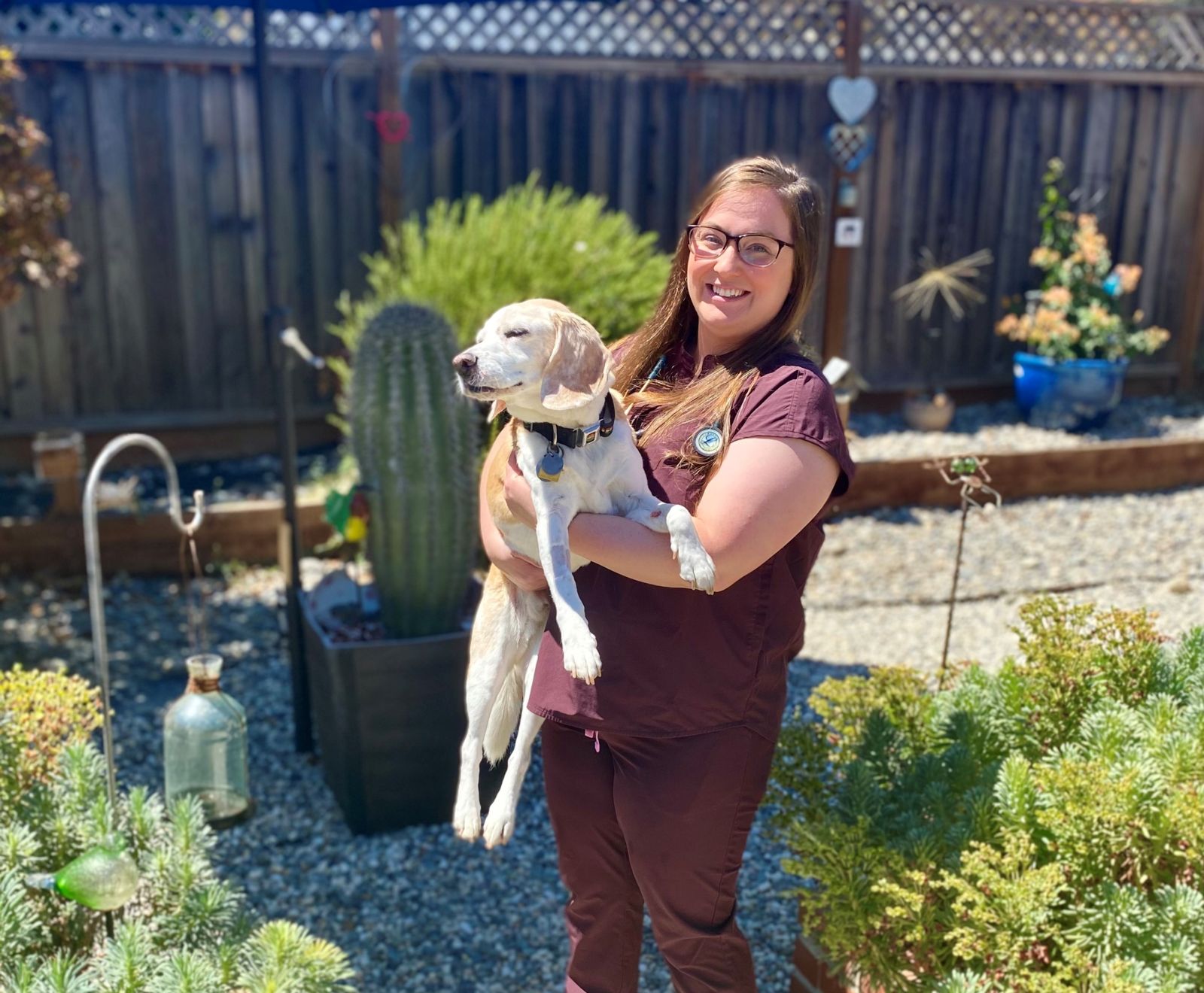 veterinarians Lincoln