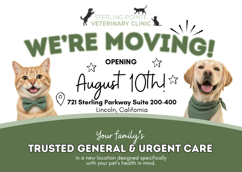Carousel Slide 1: Learn more about our move!