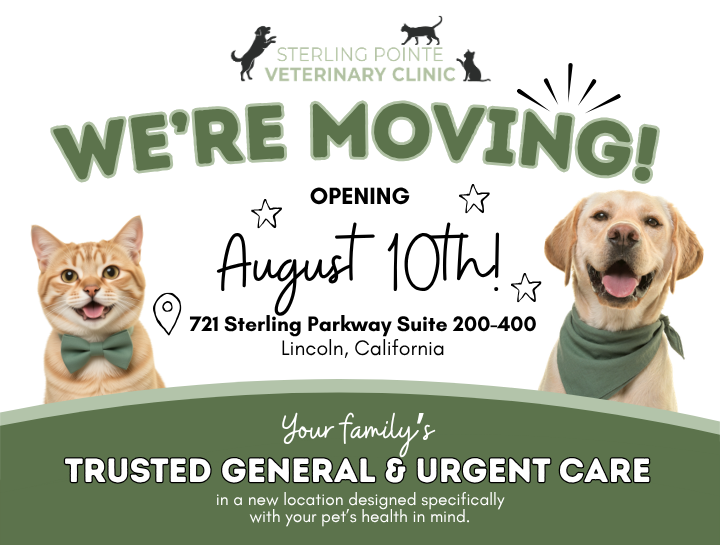 We're Moving Soon! Here's What You Need to Know