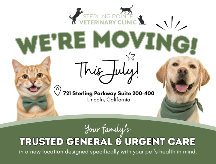 Sterling Pointe Veterinary Clinic Is Moving to a Bigger, Better Location This July!