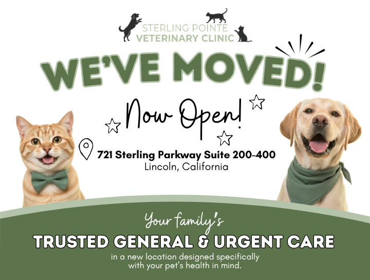 Welcome to Our New Home!